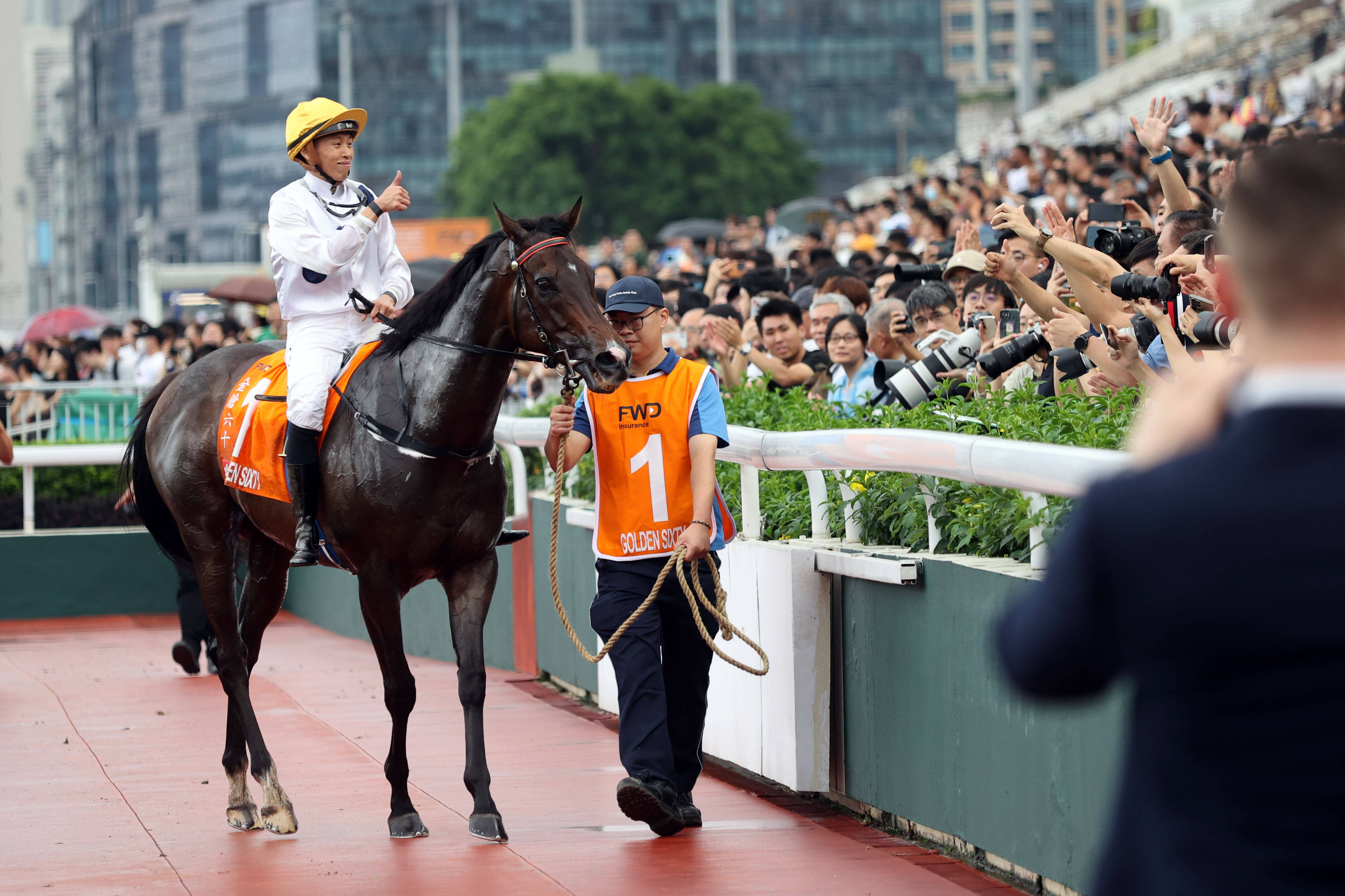 快速科普一下！2024香港历史记录近15期查询,百科词条撰词_2024新网