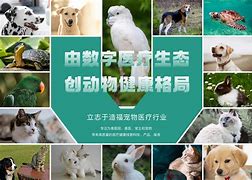 快速科普一下！新澳会员绝密三中三提前公布,百科词条撰词_2024新网