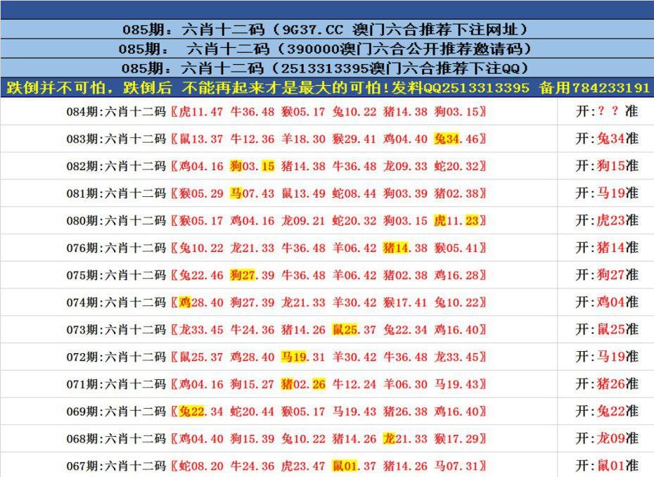 快速科普一下！澳门六会精准资料大全,百科词条撰词_2024新网