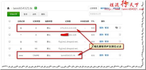 快速科普一下！泛解析新版站群,百科词条撰词_2024新网