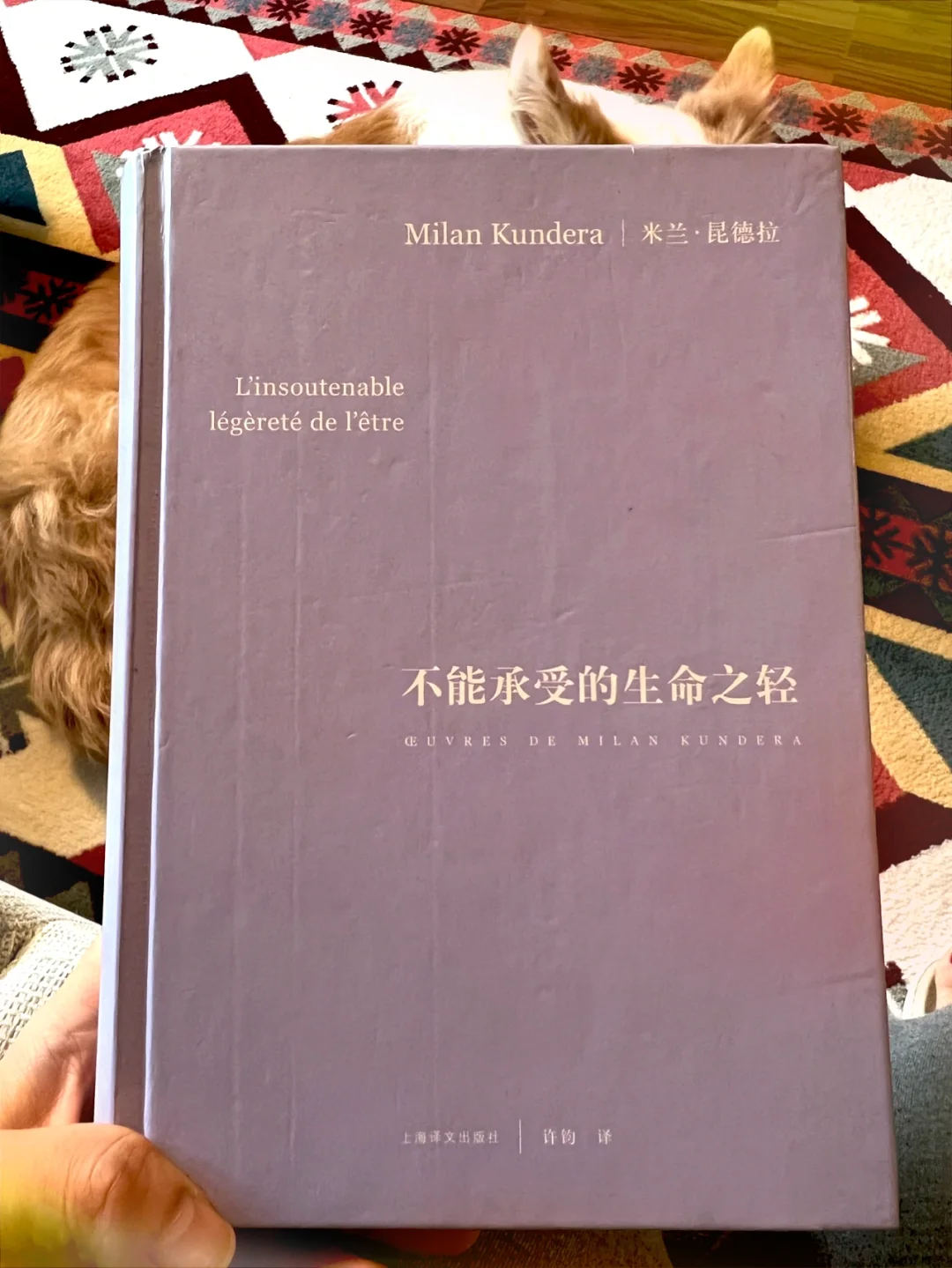 快速科普一下！恋爱不能承受之轻,百科词条撰词_2024新网