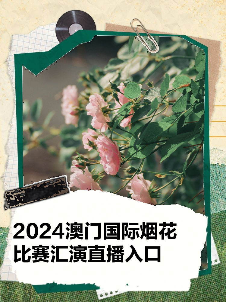 快速科普一下！2024今晚澳门码开奖直播,百科词条撰词_2024新网