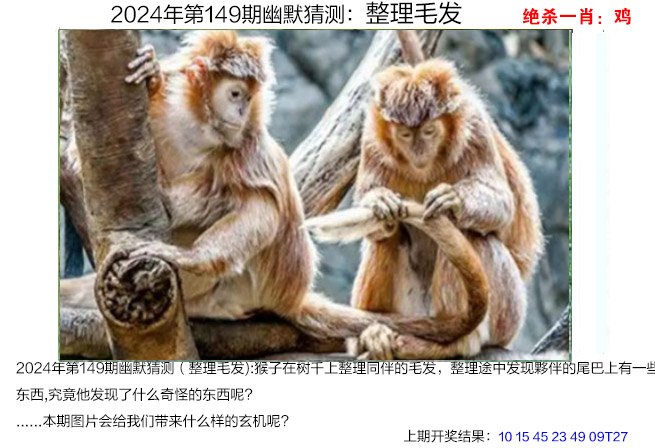 快速科普一下！2024澳门天天彩免费资料,百科词条撰词_2024新网