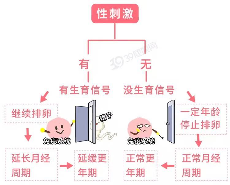 快速科普一下！夫妻生活一周不要超过,百科词条撰词_2024新网