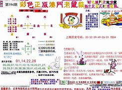 快速科普一下！澳门老鼠报公开资料2020,百科词条撰词_2024新网