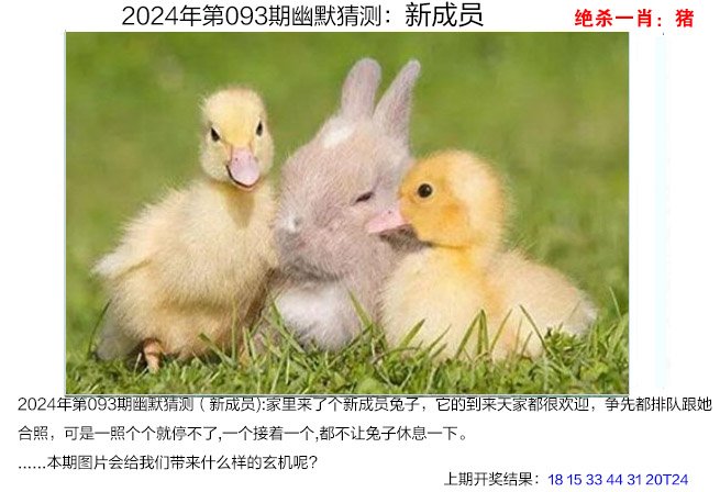 快速科普一下！2024新澳管家婆免费,百科词条撰词_2024新网