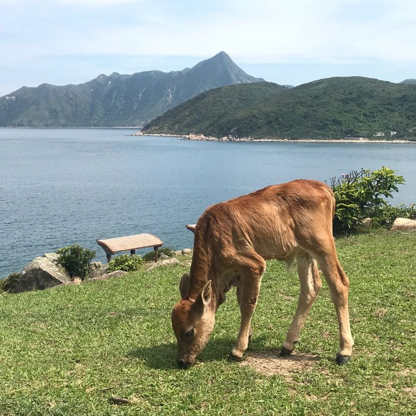 快速科普一下！香港最准马料开奖结果45期一,百科词条撰词_2024新网