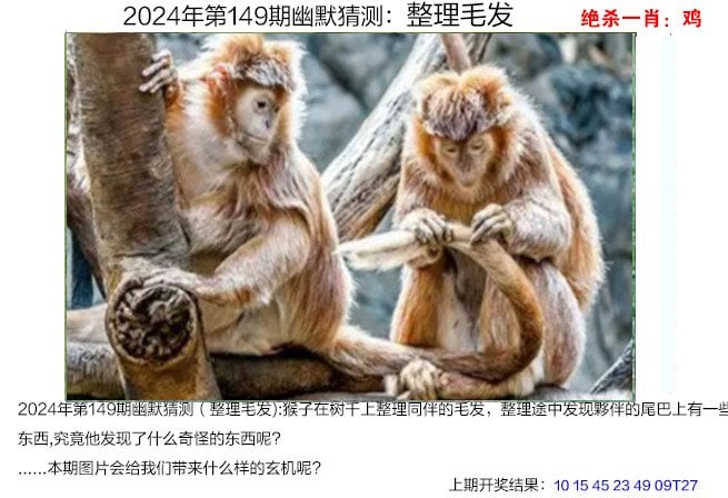 快速科普一下！2024澳门资料大全免费图片,百科词条撰词_2024新网