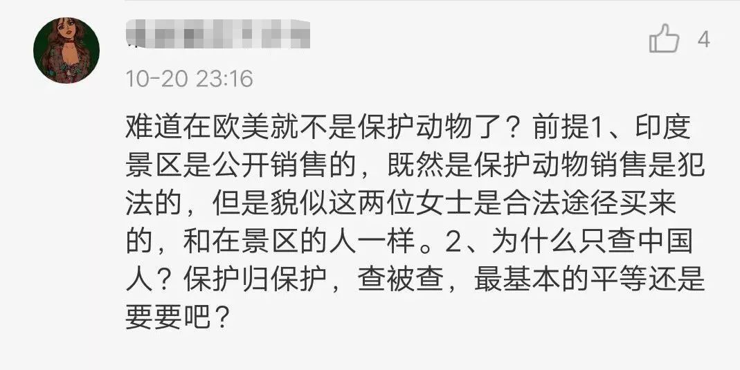 快速科普一下！翻乐谱的女子阅读理解,百科词条撰词_2024新网