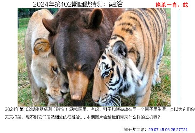 快速科普一下！2024年1月4曰新澳彩资料,百科词条撰词_2024新网