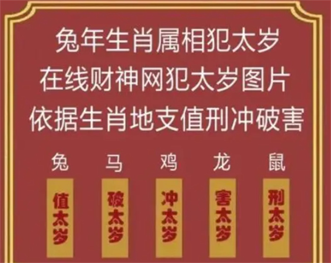 快速科普一下！今晚必中生肖是,百科词条撰词_2024新网