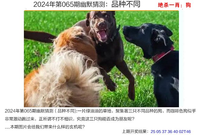 快速科普一下！2024年澳彩全年一肖,百科词条撰词_2024新网