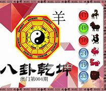 快速科普一下！2024澳利澳六肖18码必出,百科词条撰词_2024新网