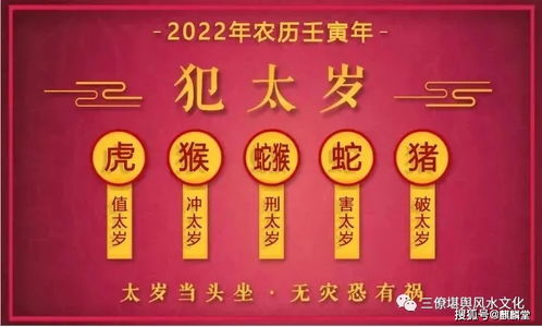 快速科普一下！香港内资料必中生肖,百科词条撰词_2024新网