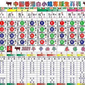 快速科普一下！澳门今天晚上开什么码3月19日,百科词条撰词_2024新网