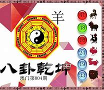 快速科普一下！澳门六合红财神,百科词条撰词_2024新网