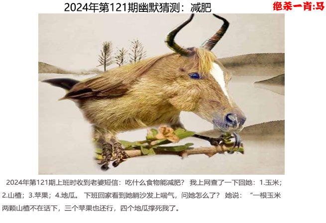 快速科普一下！澳门2024正版资料王中王,百科词条撰词_2024新网