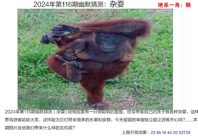 快速科普一下！2024年澳门开奖记录查询表,百科词条撰词_2024新网