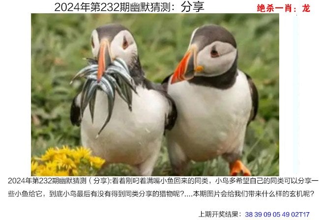 快速科普一下！2024年新澳门正版免费资料,百科词条撰词_2024新网