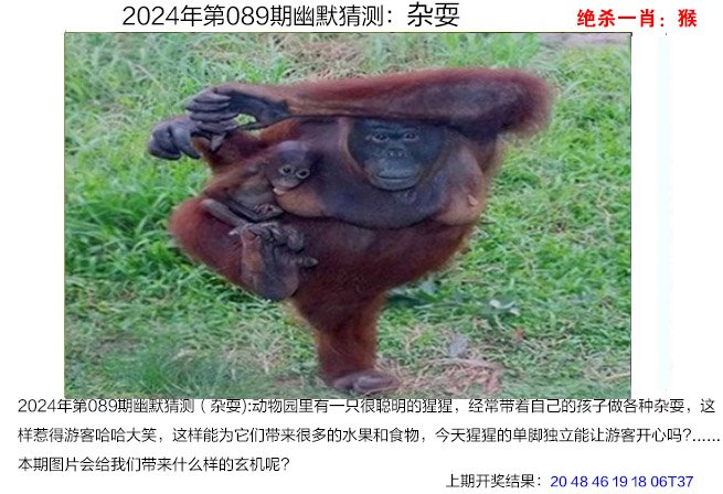 快速科普一下！澳门一肖一码资料2023年,百科词条撰词_2024新网