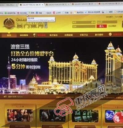 快速科普一下！澳门神神算子网,百科词条撰词_2024新网