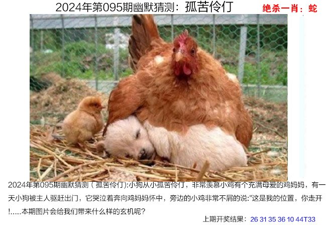 快速科普一下！澳门管家婆正版图片大全,百科词条撰词_2024新网