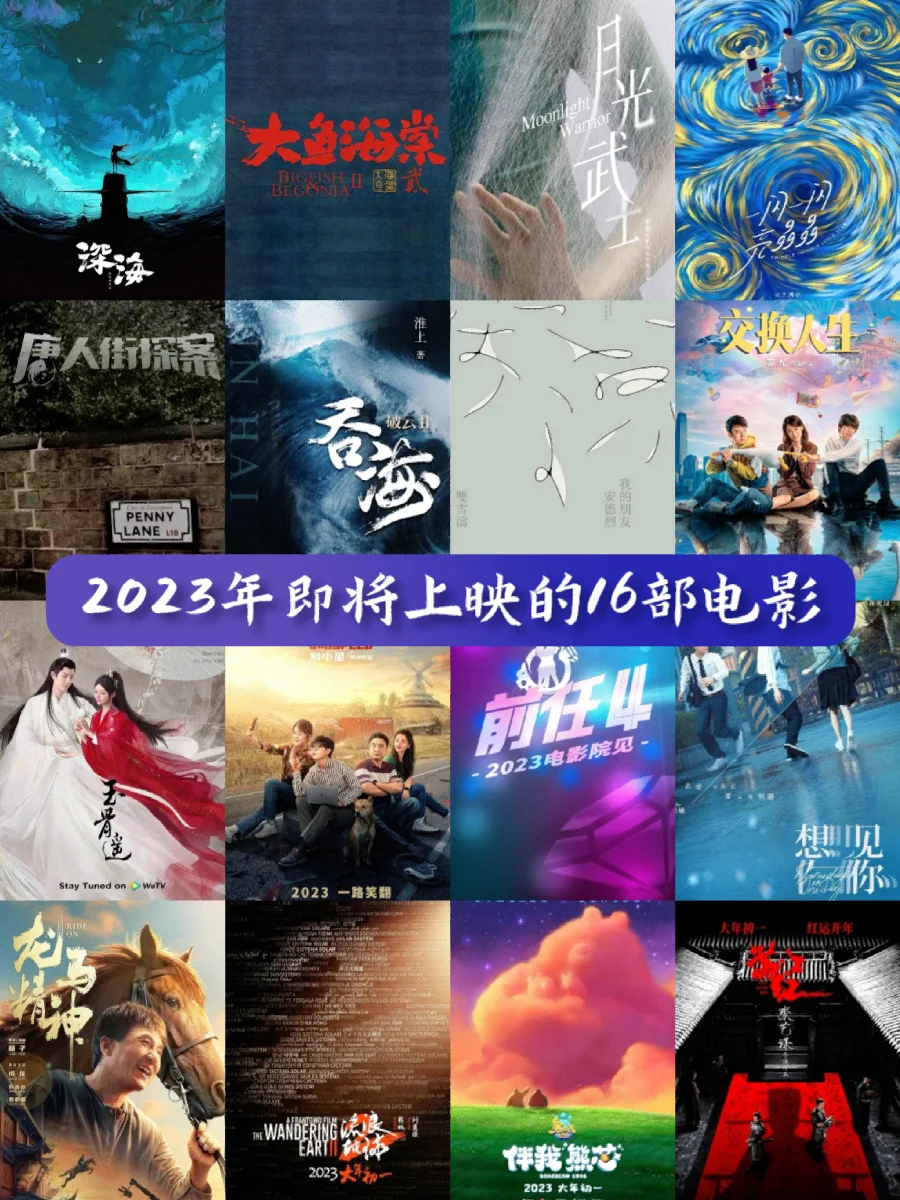 快速科普一下！2023上映的电影排行榜,百科词条撰词_2024新网