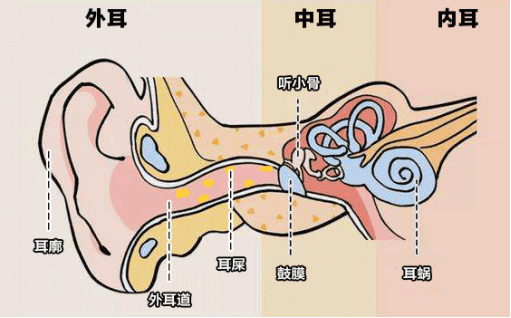 快速科普一下！耳朵聋是不是有病的前兆,百科词条撰词_2024新网