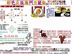 快速科普一下！老鼠报论坛公开资料,百科词条撰词_2024新网