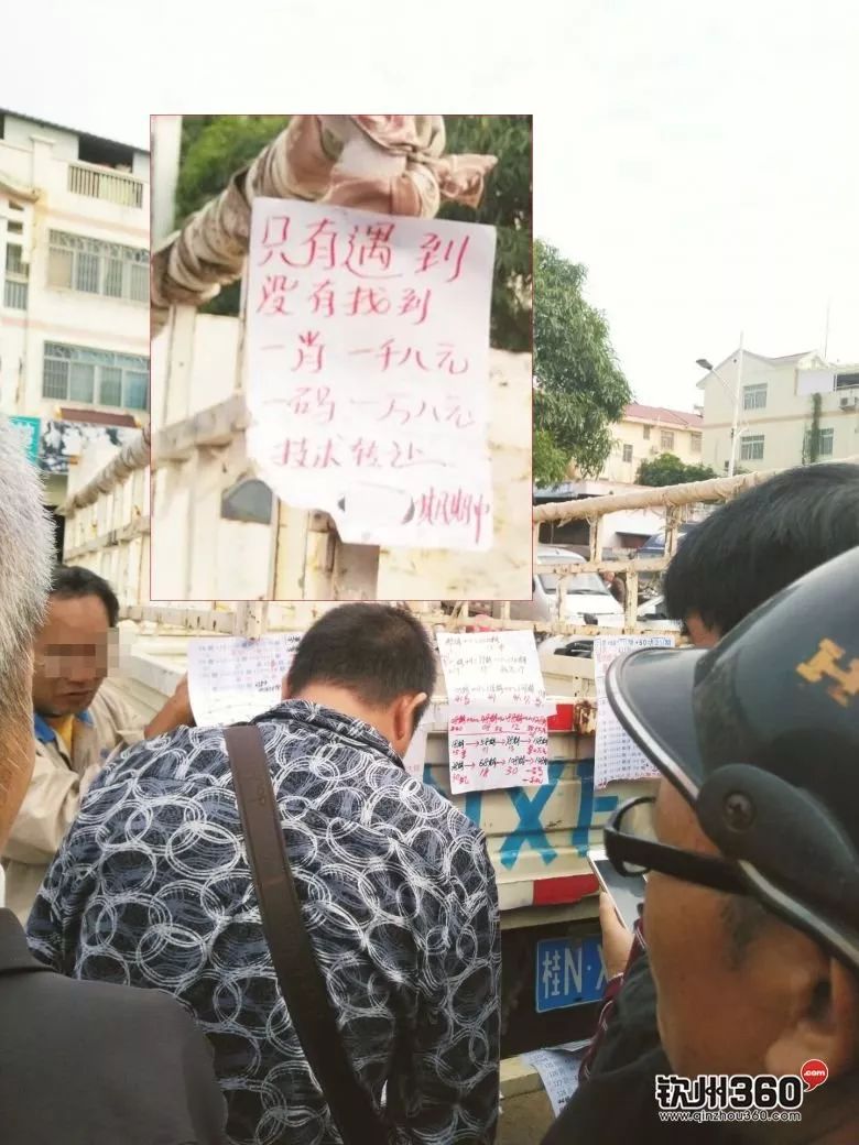 快速科普一下！香港二四六论坛玄机,百科词条撰词_2024新网