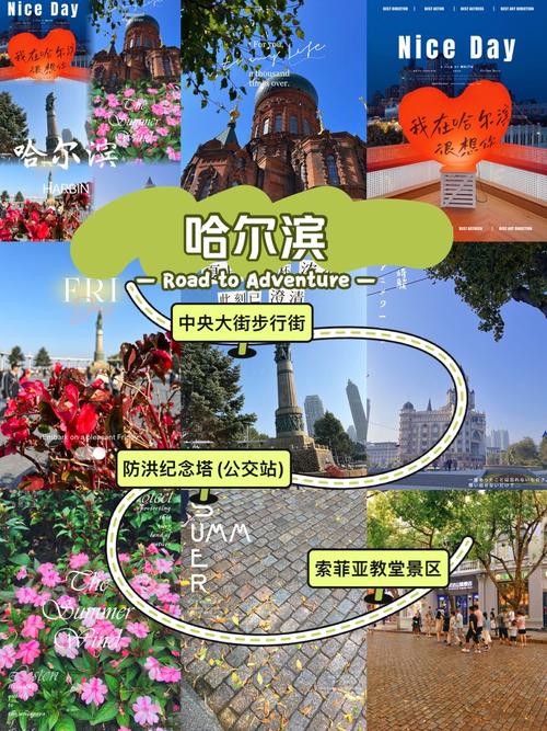 今日2024第一科普！澳门晚上开什么特号,百科词条爱好_2024知识汇总