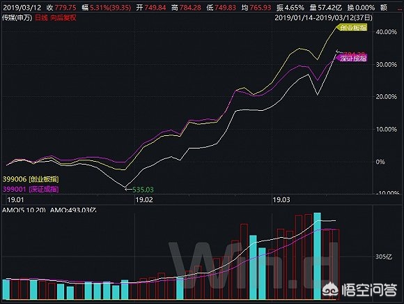 今日2024第一科普！726影视搜索免费,百科词条爱好_2024知识汇总