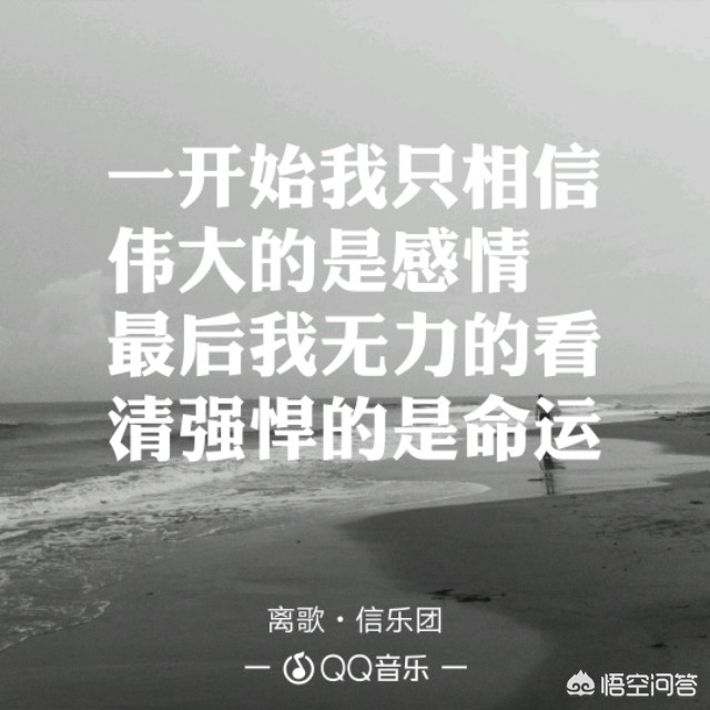 今日2024第一科普！午夜电影网在线,百科词条爱好_2024知识汇总