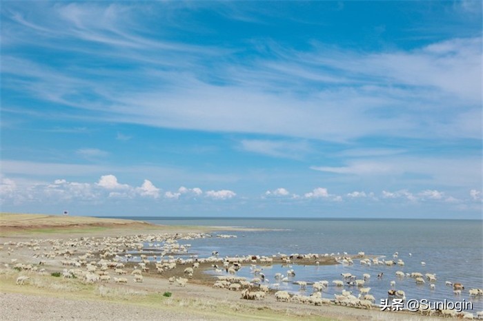 今日2024第一科普！沙海电视剧星辰影院,百科词条爱好_2024知识汇总