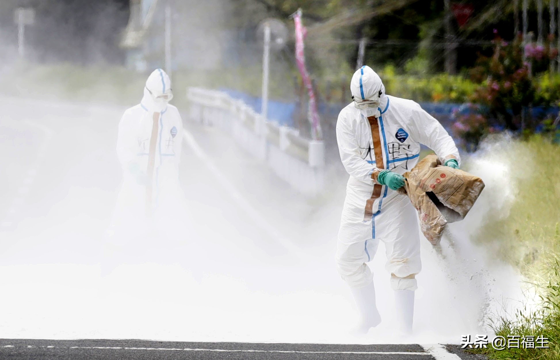 今日2024第一科普！病毒电影韩国,百科词条爱好_2024知识汇总